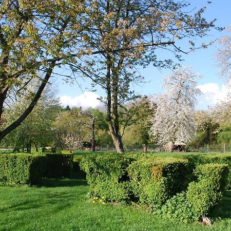Gites Aux Fleurs De Cerises Le Plessis-Luzarches 외부 사진