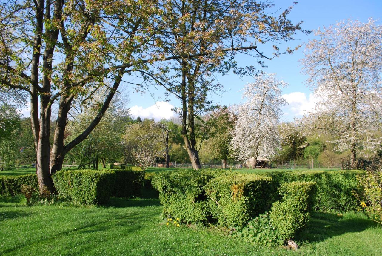 Gites Aux Fleurs De Cerises Le Plessis-Luzarches 외부 사진